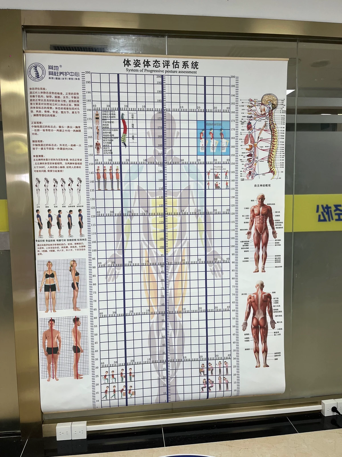 退役篮球运动员的理疗恢复指南